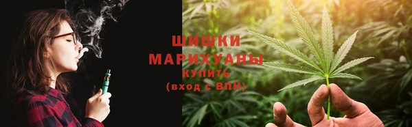 дурь Бежецк