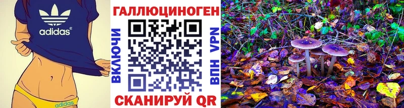 OMG вход  Буй  Псилоцибиновые грибы прущие грибы 